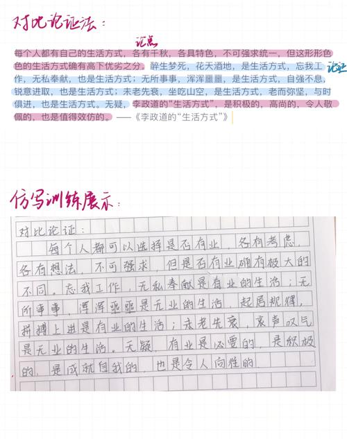 论证方法议论文有哪些核心技巧？-图1