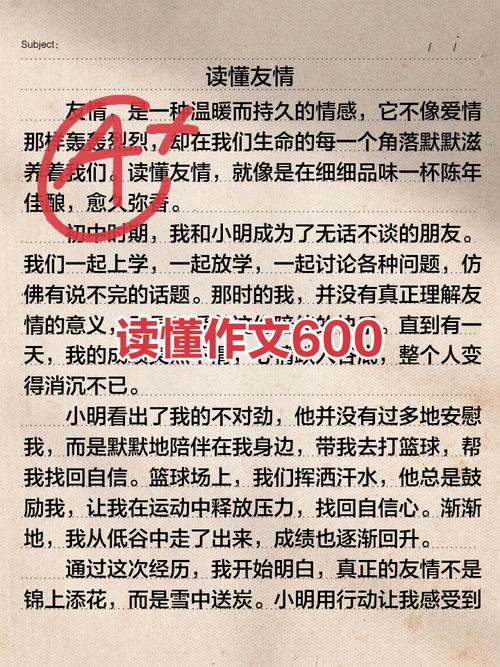 懂 不懂的议论文-图2 懂 不懂的议论文-图2