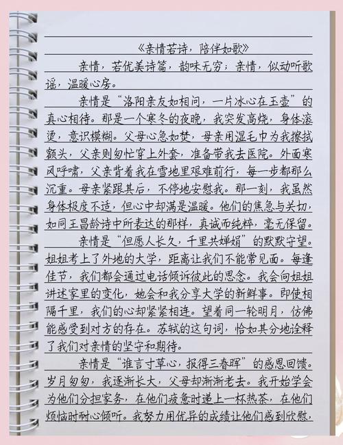 亲情陪伴,如何温暖人心?-图1 亲情陪伴,如何温暖人心?-图1
