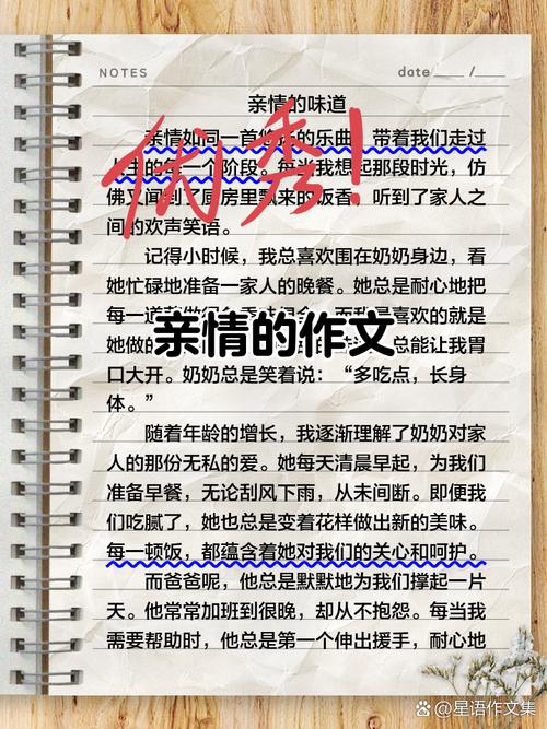 亲情陪伴,如何温暖人心?-图3 亲情陪伴,如何温暖人心?-图3