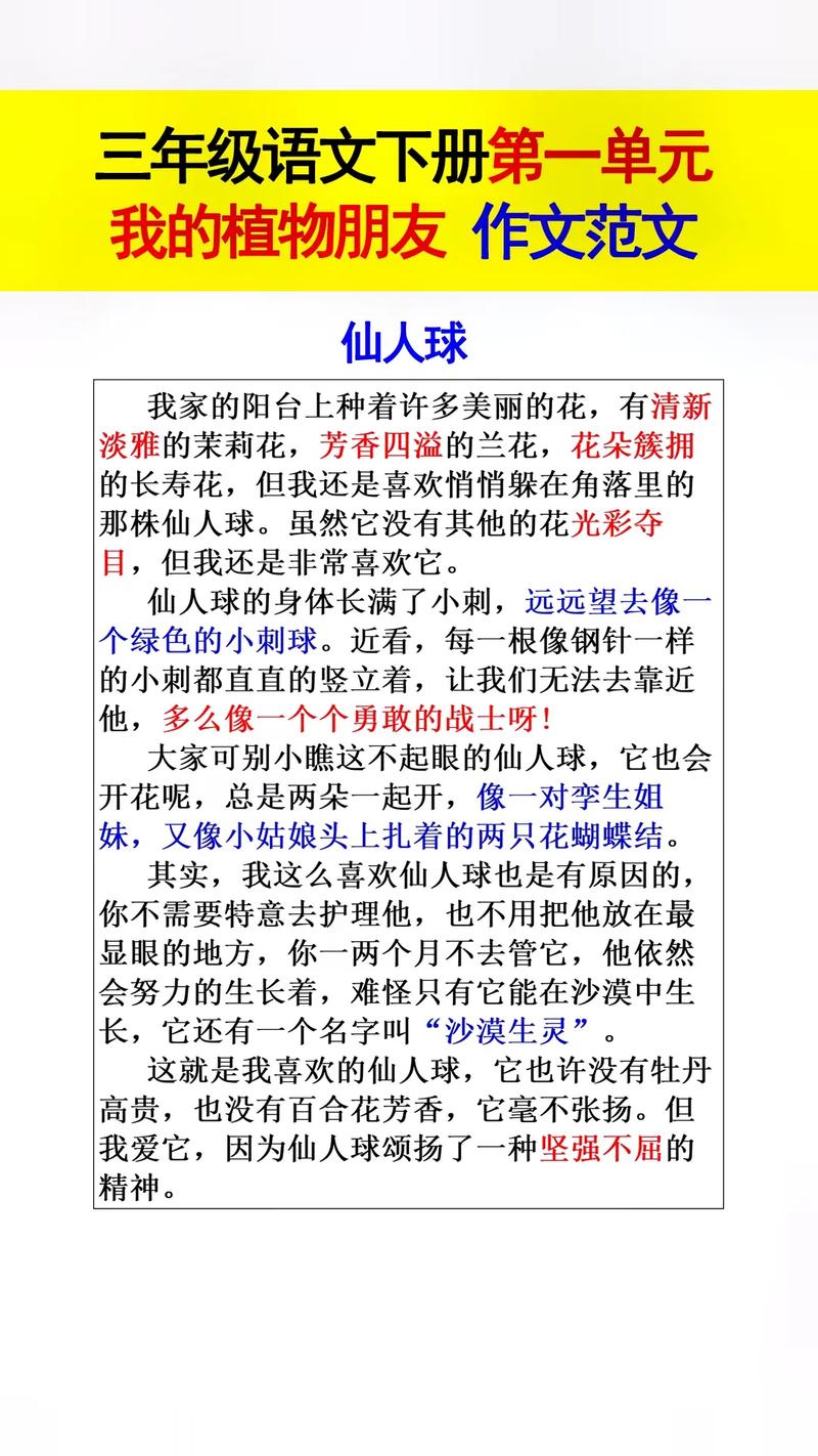 仙人掌为何能在逆境中绽放生命光彩？-图1