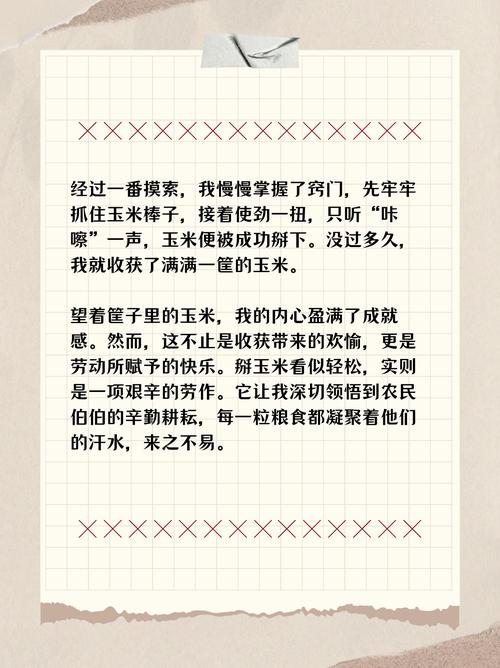 要吃些粗粮议论文-图2 要吃些粗粮议论文-图2