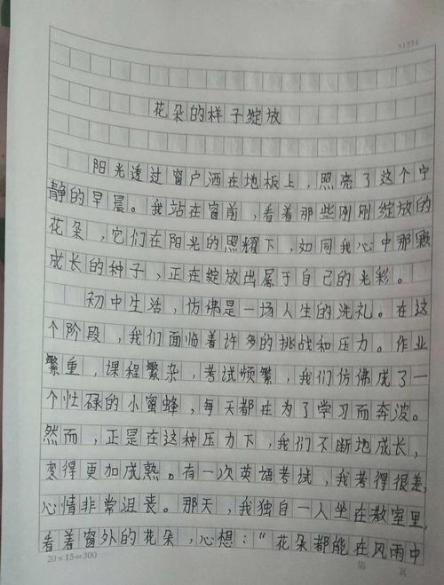 花火小学生作文辅导怎么帮孩子提分？-图3