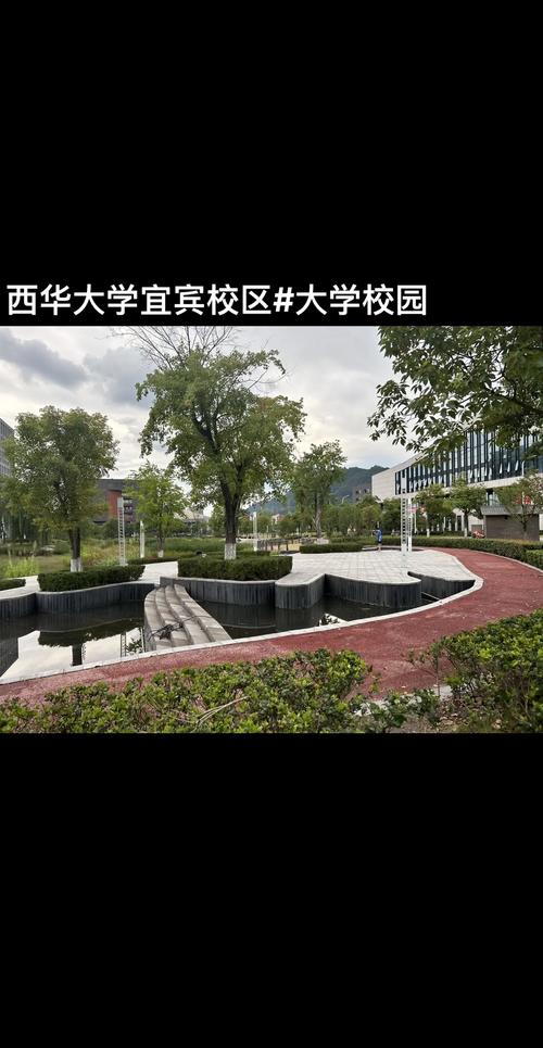 西华大学辅导重修，效果如何？-图3
