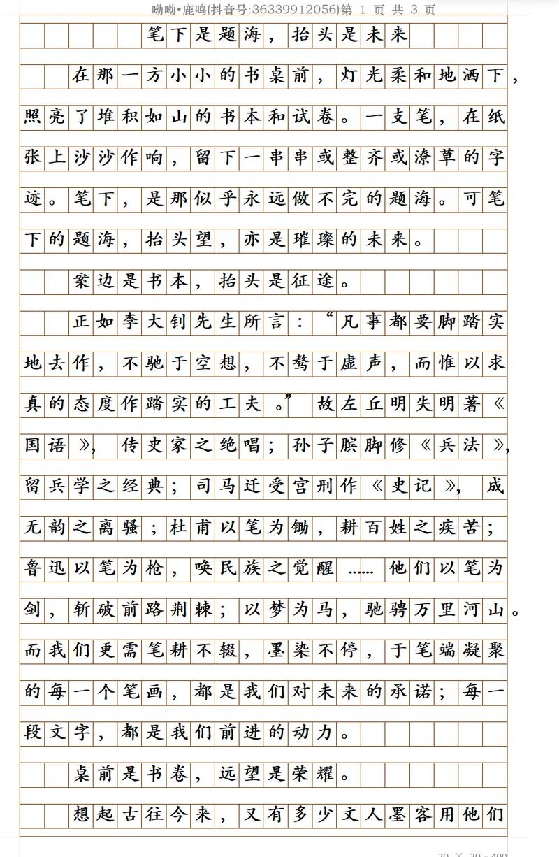 格式议论文-图3