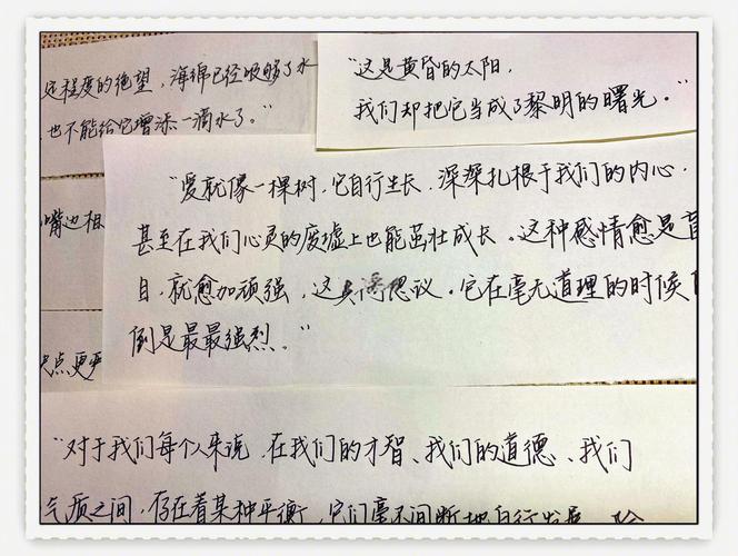 巴黎圣母院火灾后,我们该铭记什么?-图1 巴黎圣母院火灾后,我们该铭记什么?-图1