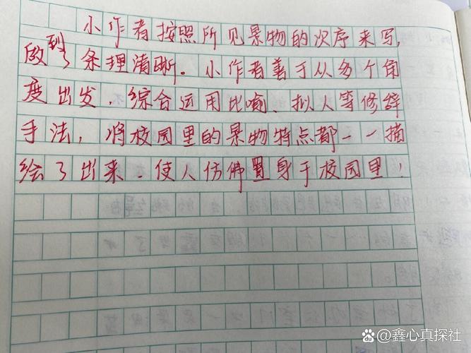 议论文批语应侧重哪方面指导?-图1 议论文批语应侧重哪方面指导?-图1