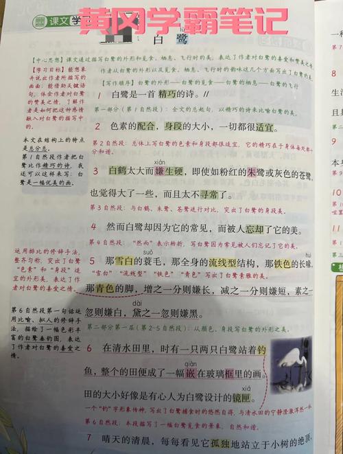 课文辅导如何高效提升语文成绩？-图1