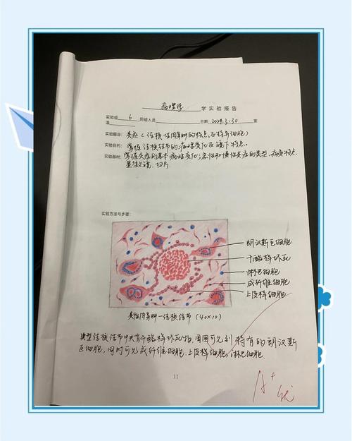 病理学z辅导资料核心考点有哪些？-图3