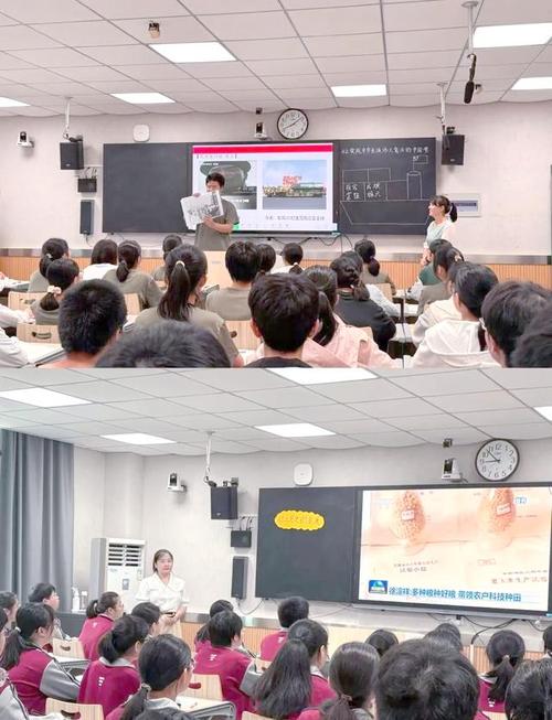 安庆辅导老师-图2 安庆辅导老师-图2