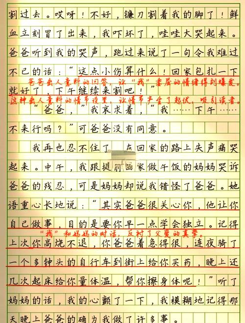 父亲挂号见儿议论文，亲情何需挂号？-图2