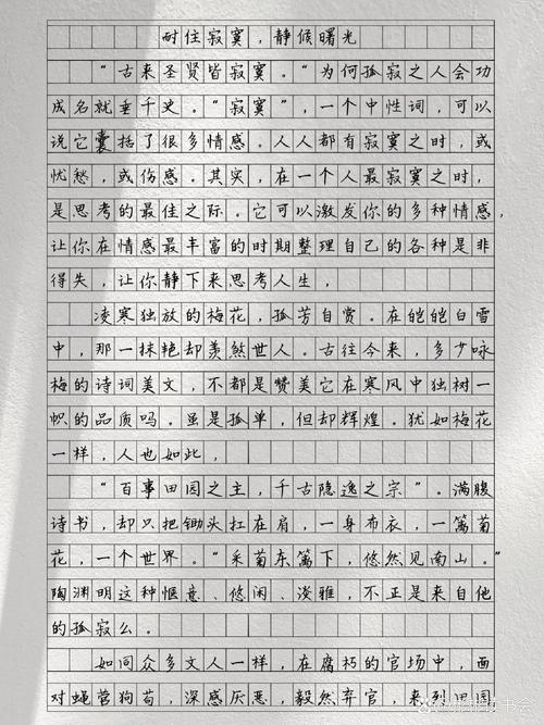 寂寞究竟是人性的枷锁还是灵魂的救赎？-图2