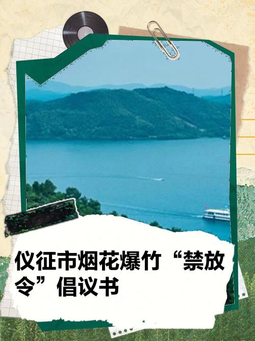 烟花禁放令，该禁还是该放？-图3