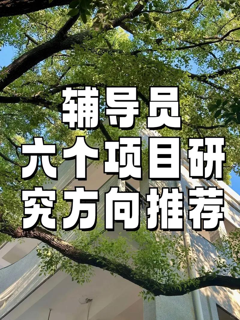 辅导员项目如何有效提升学生工作效能?-图2 辅导员项目如何有效提升学生工作效能?-图2