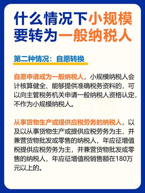 一般纳税人辅导期转正-图1