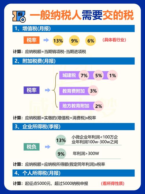 一般纳税人辅导期转正-图3
