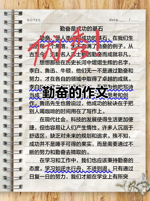 关于勤的议论文800字-图1