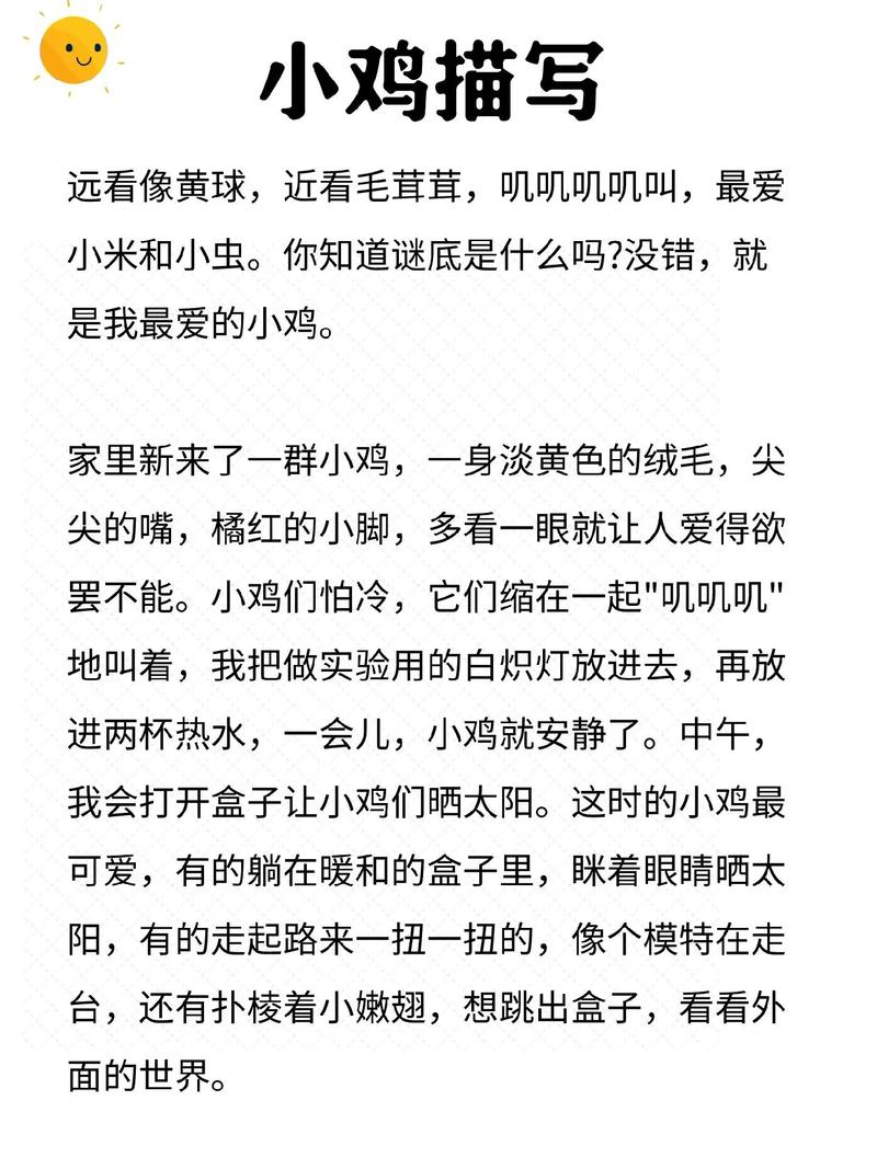 小鸡问母鸡 议论文-图1 小鸡问母鸡 议论文-图1