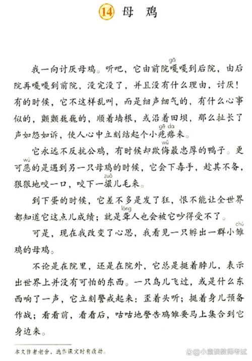 小鸡问母鸡 议论文-图2 小鸡问母鸡 议论文-图2