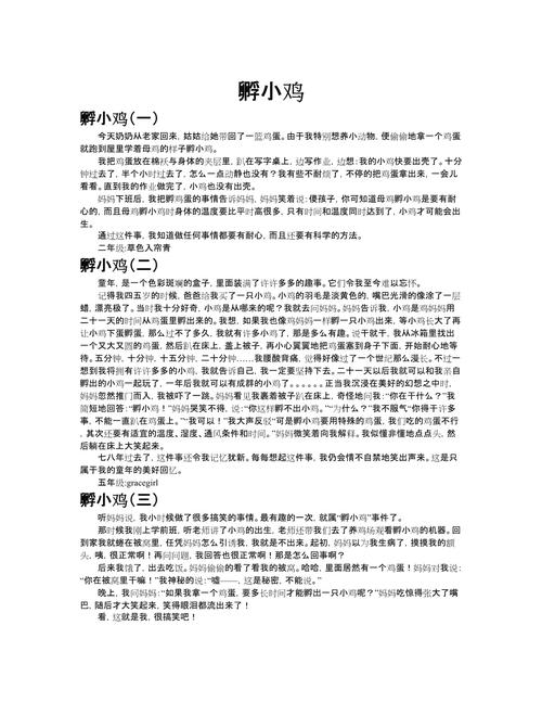 小鸡问母鸡 议论文-图3 小鸡问母鸡 议论文-图3