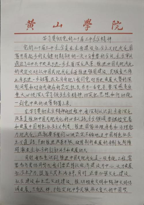 从严治党的议论文-图1