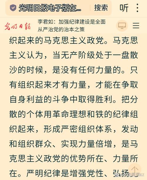 从严治党的议论文-图3