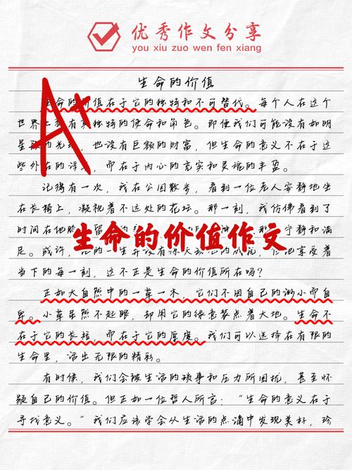 质量就是生命议论文-图1