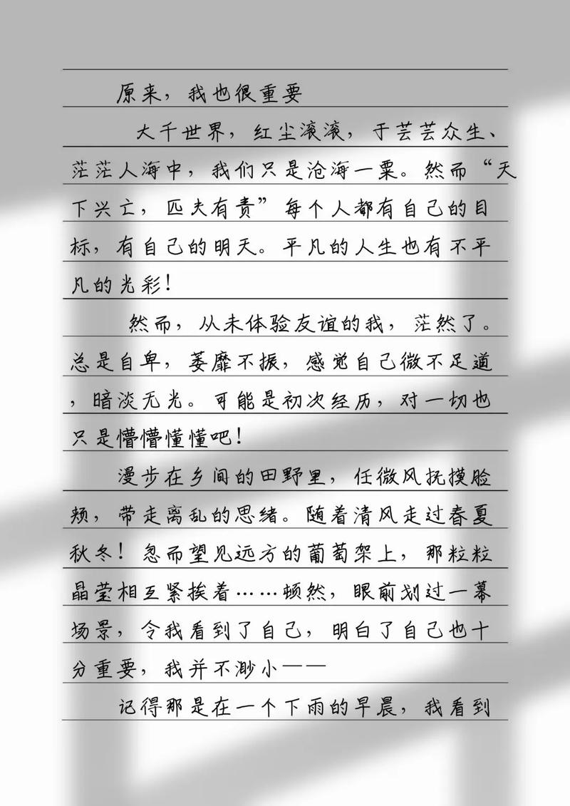 我很重要 议论文-图3 我很重要 议论文-图3