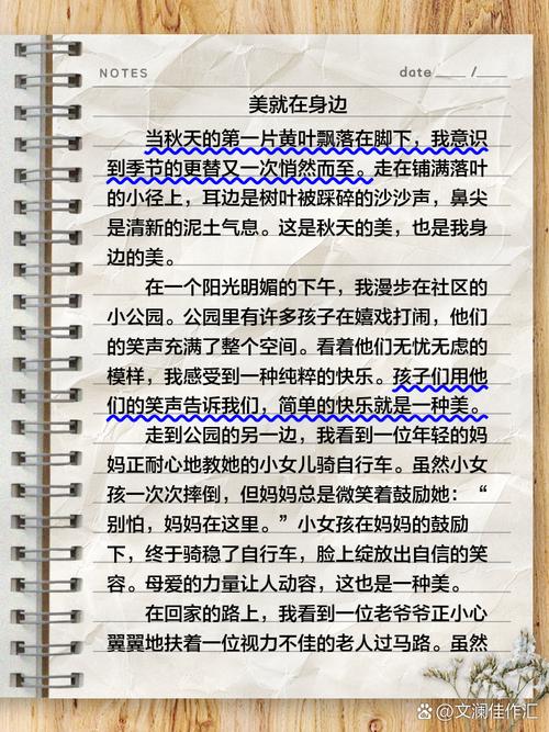 外在美和内在美议论文-图2