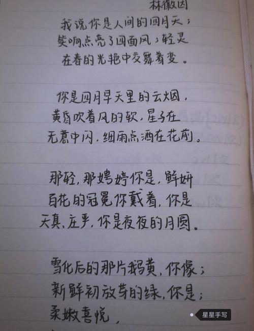 林徽因议论文-图1