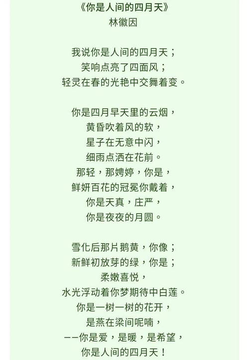 林徽因议论文-图2