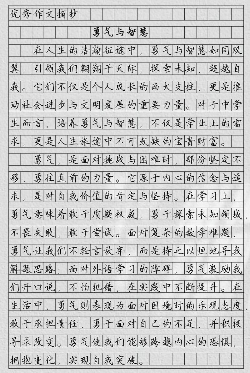 智慧的本质是什么？-图3