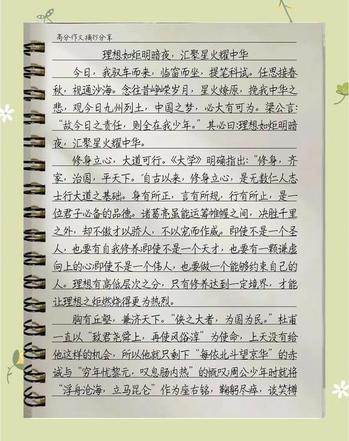 理想何以照亮现实之路?-图1 理想何以照亮现实之路?-图1