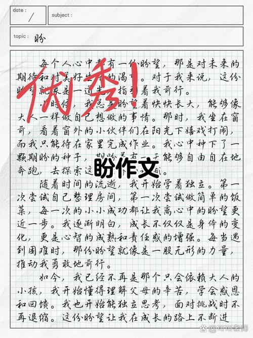 期盼议论文作文-图1