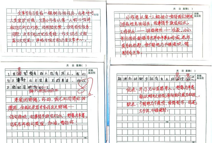 议论文语言如何精准评析?-图3 议论文语言如何精准评析?-图3