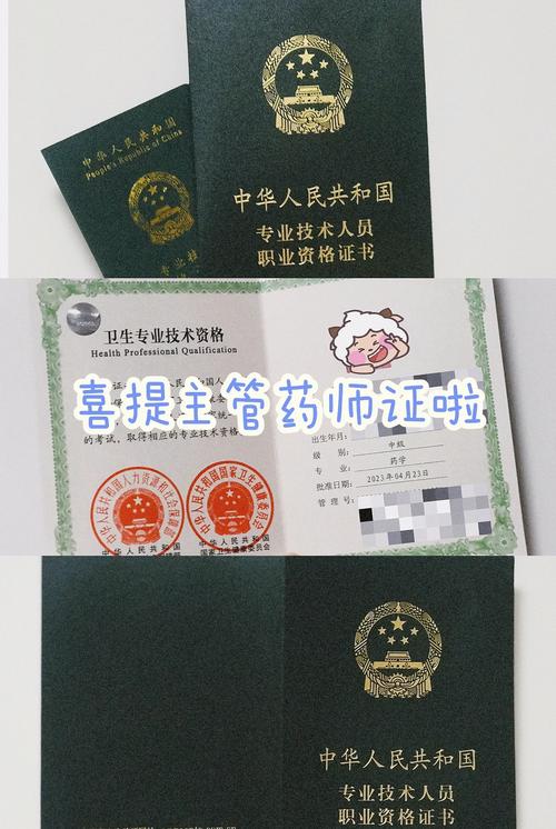 主管中药师证辅导班-图1