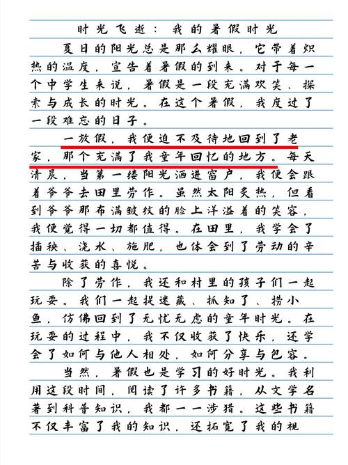 暑假，如何高效利用，还是彻底放松？-图3