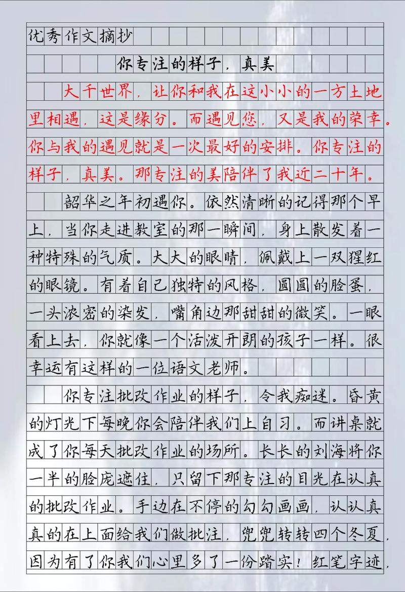 专注作文议论文-图2