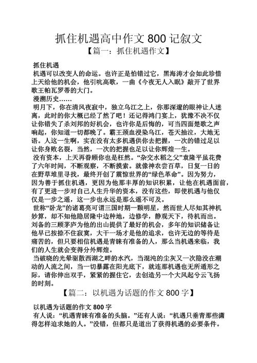 议论文如何珍惜机会?-图3 议论文如何珍惜机会?-图3