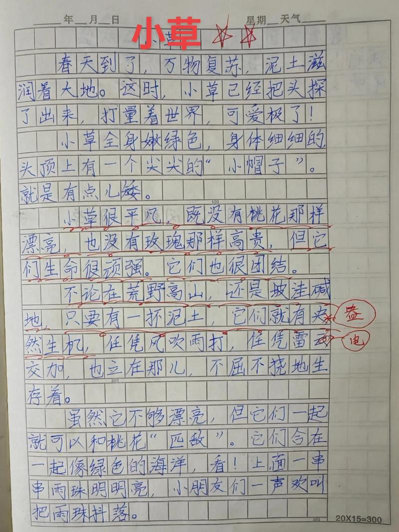 辅导班作文-图1 辅导班作文-图1