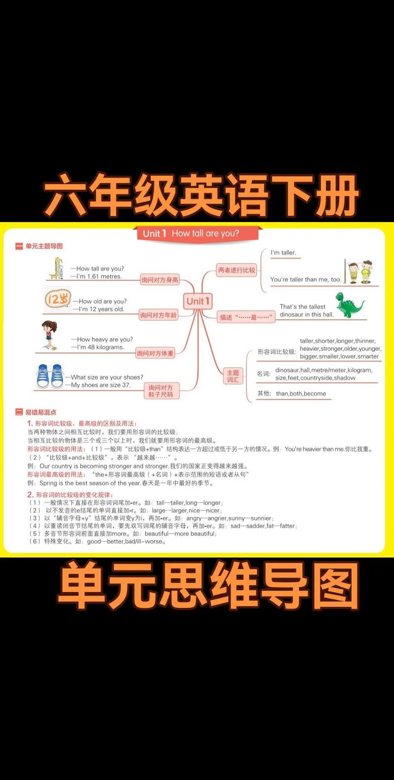 六年级下册英语辅导怎么学更高效?-图3 六年级下册英语辅导怎么学更高效?-图3