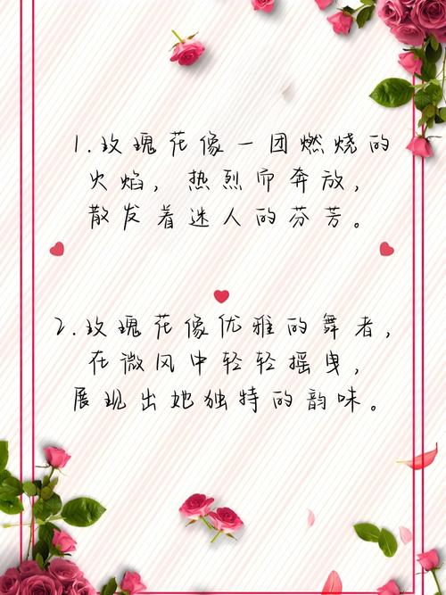 玫瑰花和日日春议论文-图2