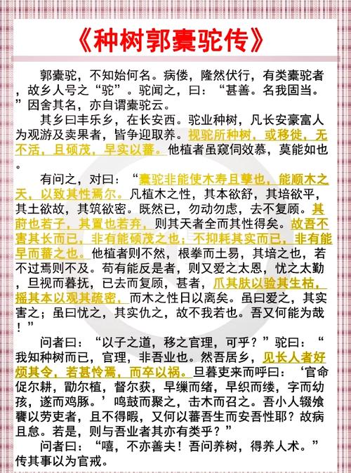 种树郭橐驼传议论文-图3