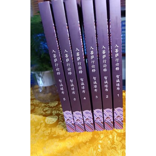 生西法师入行论辅导有何精妙开示？-图2