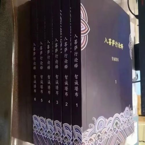 生西法师入行论辅导有何精妙开示？-图1