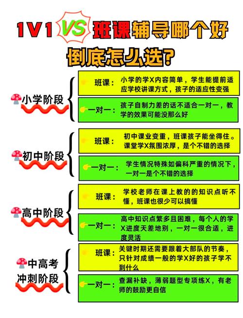 辅导班有哪些常见类型？-图1