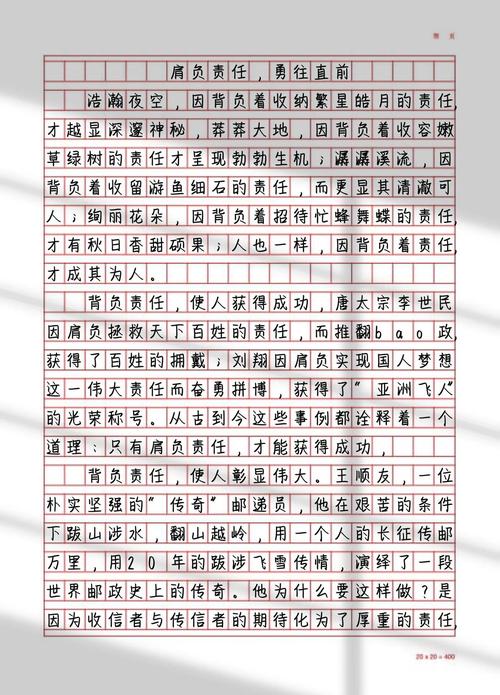 责任与荣辱，孰轻孰重？-图3