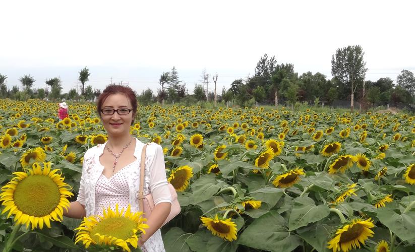 邓红霞辅导员如何用专业与爱心点亮学生成长之路?-图1 邓红霞辅导员如何用专业与爱心点亮学生成长之路?-图1