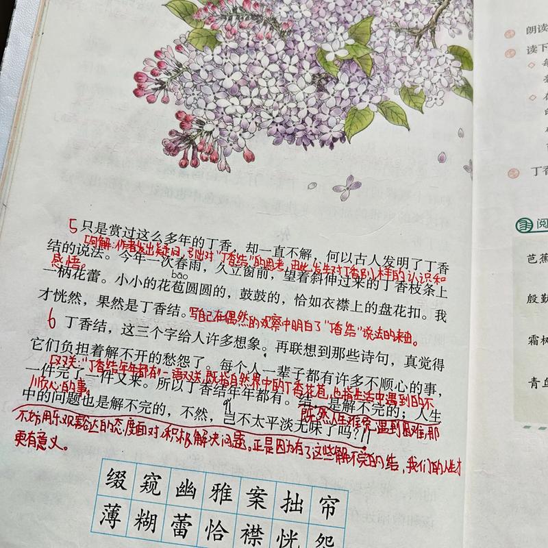 丁香结辅导，为何成为学生与家长的解题焦虑解药？-图1