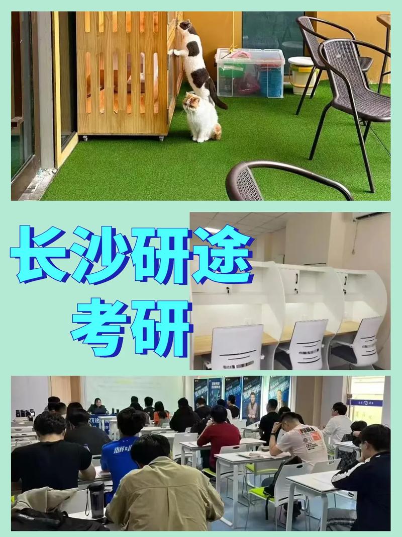 考研辅导机构兼职靠谱吗?门槛高吗?能学到真本事吗?对未来就业有帮助吗?-图2 考研辅导机构兼职靠谱吗?门槛高吗?能学到真本事吗?对未来就业有帮助吗?-图2